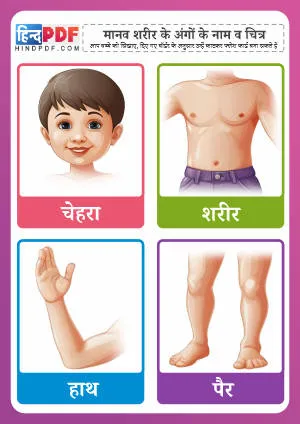 Hindi Body Parts Book PDF Download